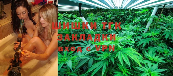 прущие грибы Балахна